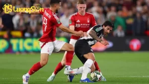 509563b0 9ceb 11ef 8538 e1655f5a8342 095505